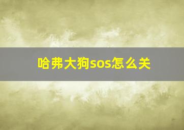 哈弗大狗sos怎么关