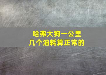 哈弗大狗一公里几个油耗算正常的