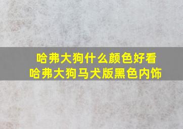 哈弗大狗什么颜色好看哈弗大狗马犬版黑色内饰