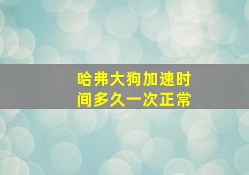 哈弗大狗加速时间多久一次正常