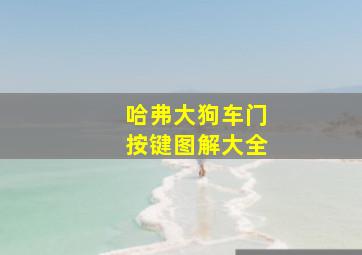 哈弗大狗车门按键图解大全