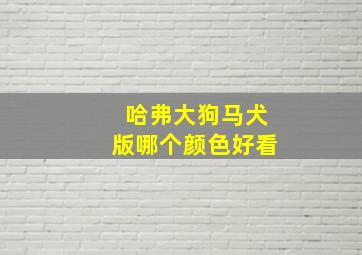 哈弗大狗马犬版哪个颜色好看