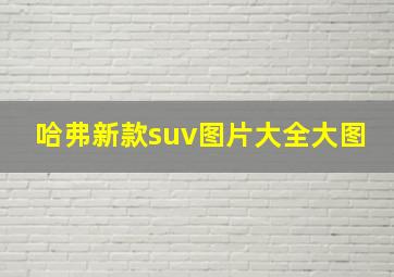 哈弗新款suv图片大全大图