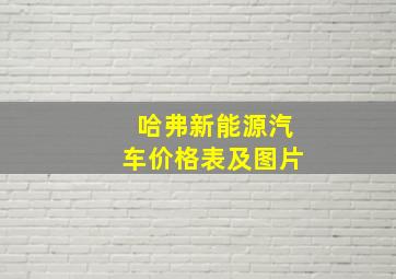 哈弗新能源汽车价格表及图片