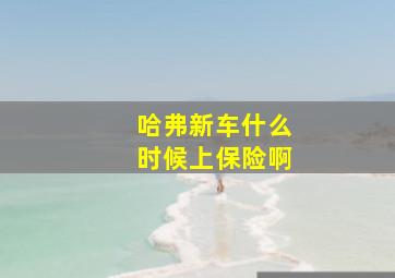 哈弗新车什么时候上保险啊