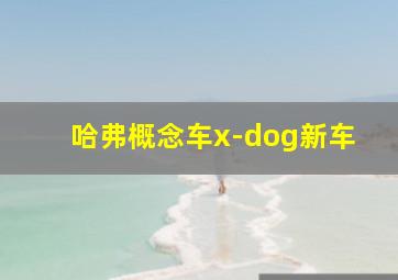 哈弗概念车x-dog新车