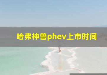 哈弗神兽phev上市时间