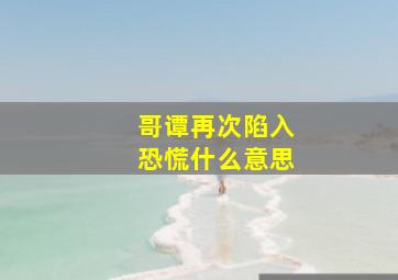 哥谭再次陷入恐慌什么意思