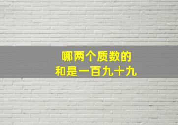 哪两个质数的和是一百九十九