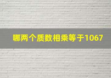 哪两个质数相乘等于1067