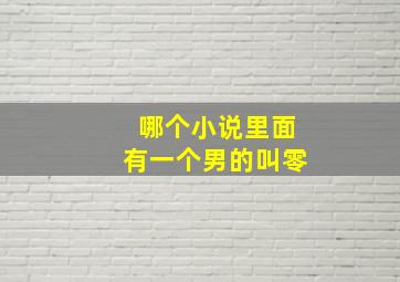 哪个小说里面有一个男的叫零