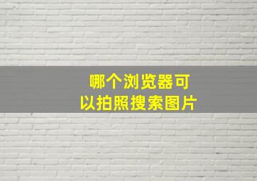 哪个浏览器可以拍照搜索图片