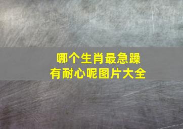 哪个生肖最急躁有耐心呢图片大全