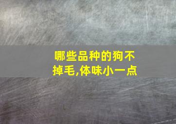 哪些品种的狗不掉毛,体味小一点