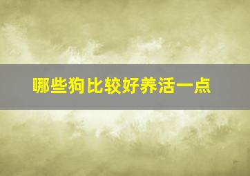 哪些狗比较好养活一点