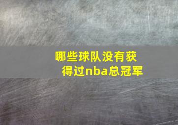 哪些球队没有获得过nba总冠军