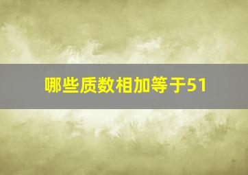 哪些质数相加等于51