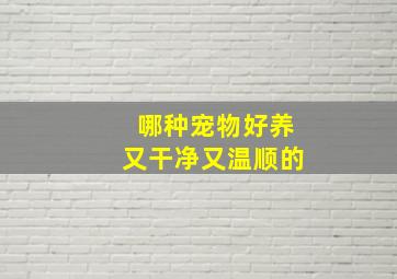 哪种宠物好养又干净又温顺的