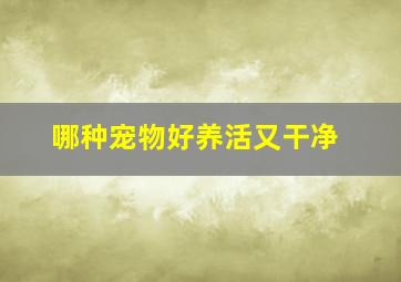 哪种宠物好养活又干净