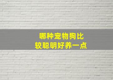 哪种宠物狗比较聪明好养一点