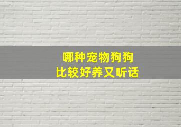 哪种宠物狗狗比较好养又听话