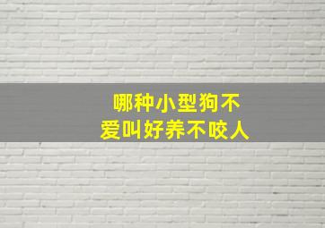 哪种小型狗不爱叫好养不咬人