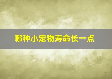 哪种小宠物寿命长一点