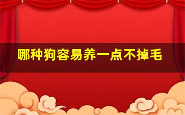 哪种狗容易养一点不掉毛