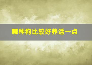 哪种狗比较好养活一点