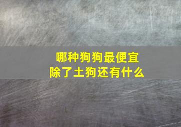 哪种狗狗最便宜除了土狗还有什么