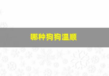 哪种狗狗温顺