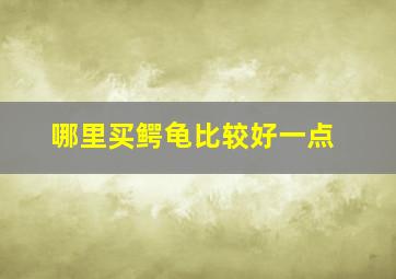 哪里买鳄龟比较好一点