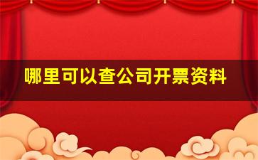 哪里可以查公司开票资料