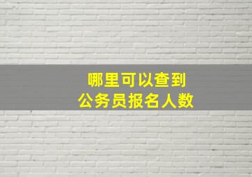 哪里可以查到公务员报名人数