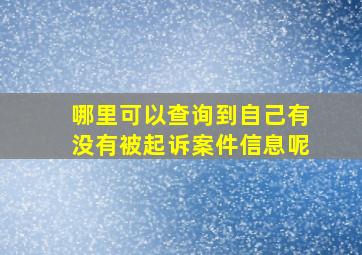 哪里可以查询到自己有没有被起诉案件信息呢