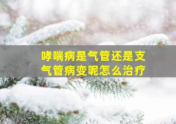 哮喘病是气管还是支气管病变呢怎么治疗