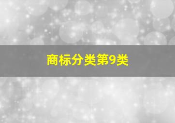 商标分类第9类