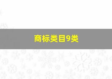 商标类目9类