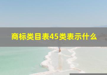 商标类目表45类表示什么