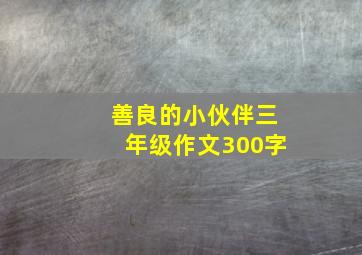 善良的小伙伴三年级作文300字