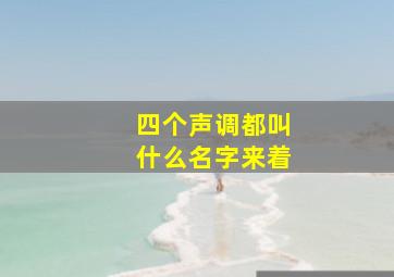 四个声调都叫什么名字来着