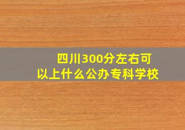 四川300分左右可以上什么公办专科学校