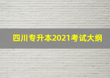 四川专升本2021考试大纲