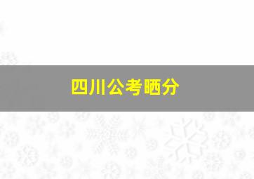 四川公考晒分