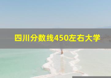 四川分数线450左右大学