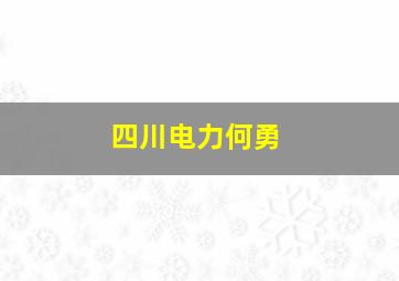 四川电力何勇