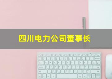 四川电力公司董事长