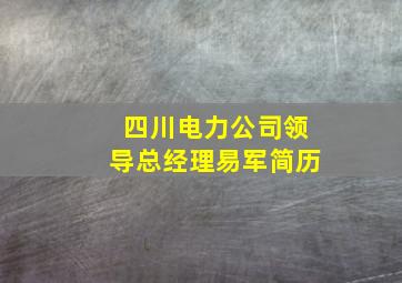 四川电力公司领导总经理易军简历