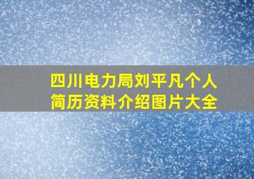 四川电力局刘平凡个人简历资料介绍图片大全