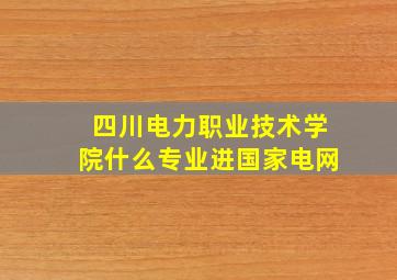 四川电力职业技术学院什么专业进国家电网